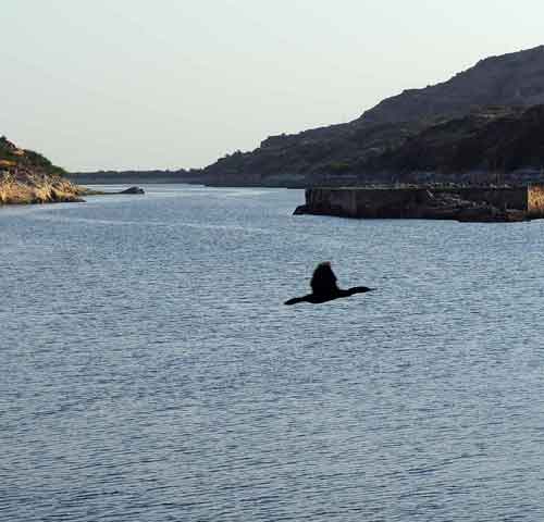 Balsamand Lake Jodhpur