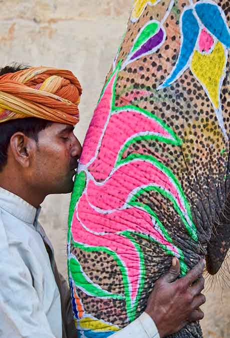 Elephant Panting