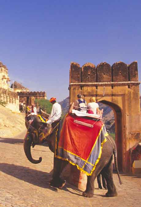 Elephant Safari Jaipur