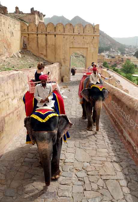 Elephant Safari