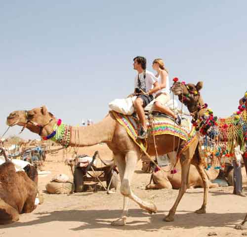 Pushkar Camel Safari