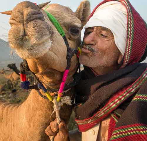 Pushkar Camel Fair